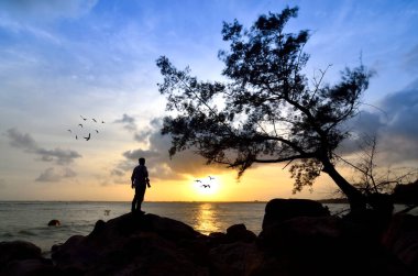 Güneşin battığı için rock seyir ayakta adam silüeti