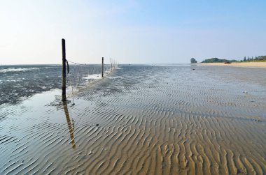 Sahilde balık ağları
