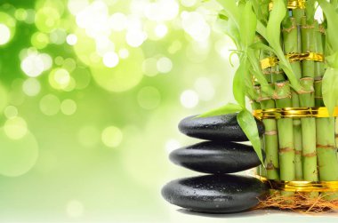 Bambu içeren spa konsepti zen bazalt taşları