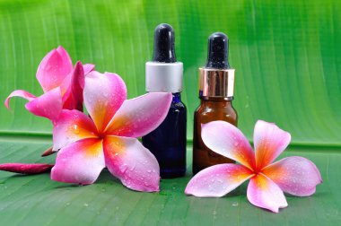 Yağ spa frangipani çiçekler üzerinde muz yaprakları