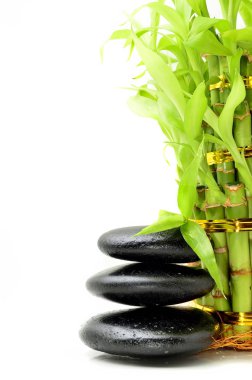 Bambu içeren spa konsepti zen bazalt taşları