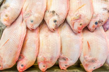 Kırmızı Tilapia. Bir balık market çekilmiş fotoğrafı