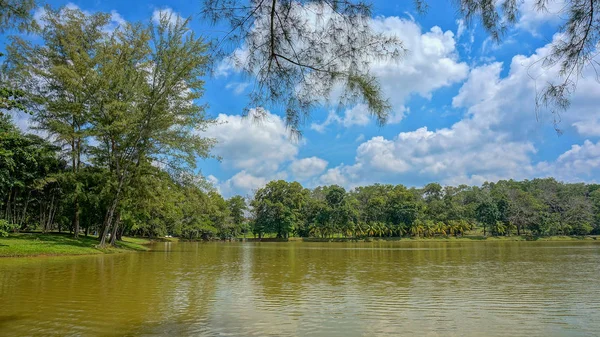 Floresta Lago Sob Céu Azul Nublado — Fotografia de Stock