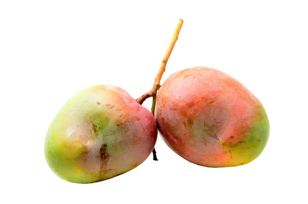 Mela Mango Frutta Isolata Sfondo Bianco — Foto Stock