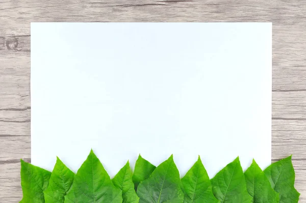 Telaio Foglia Verde Sfondo Legno — Foto Stock