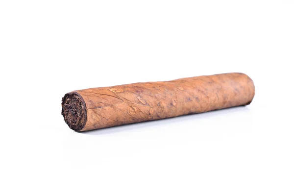 Cigar Isolated White Background — Stock Photo, Image