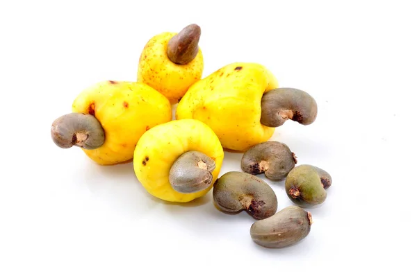 Cashewfrüchte Anacardium Occidentale Isoliert Auf Weißem Hintergrund — Stockfoto