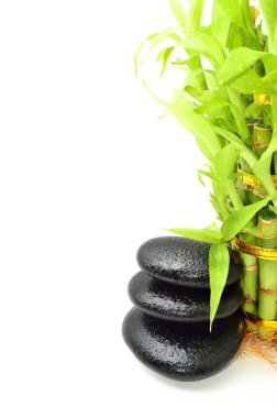 Bambu içeren spa konsepti zen bazalt taşları