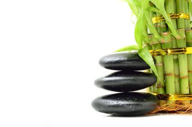 Bambu içeren spa konsepti zen bazalt taşları