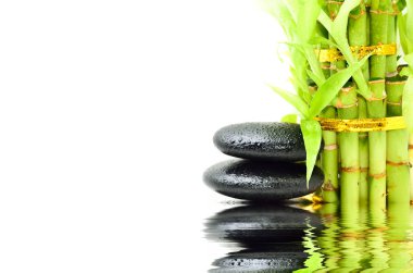 Bambu içeren spa konsepti zen bazalt taşları