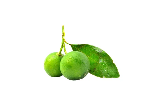 Calamansi Sur Fond Blanc — Photo