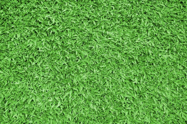 Erba Verde Texture Naturale Sfondo Erba Verde Primavera Fresca — Foto Stock