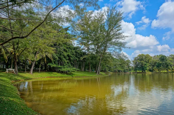 Floresta Lago Sob Céu Azul Nublado — Fotografia de Stock