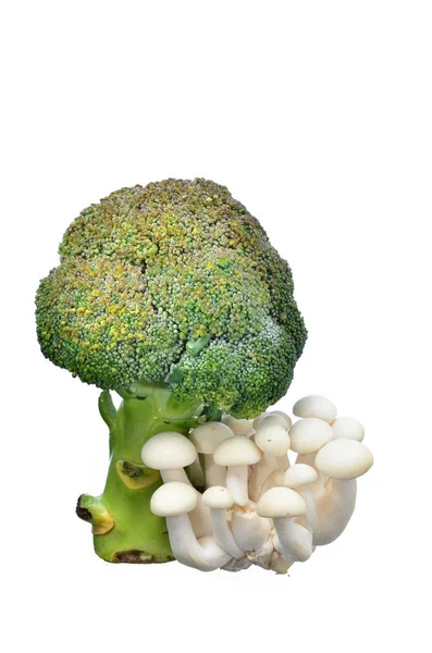 Brocolli Verde Con Champiñón Shimeji Blanco Aislado Sobre Fondo Blanco — Foto de Stock