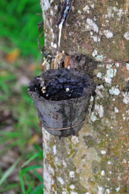 Kauçuk dokunarak Sanayi Ayrıntıları