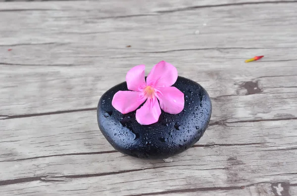 Flower Zen Stone Wood Background — Stock Photo, Image