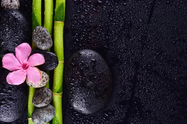 Roze Bloem Met Zwarte Stenen Bamboebos Natte Zwarte Achtergrond Spa — Stockfoto