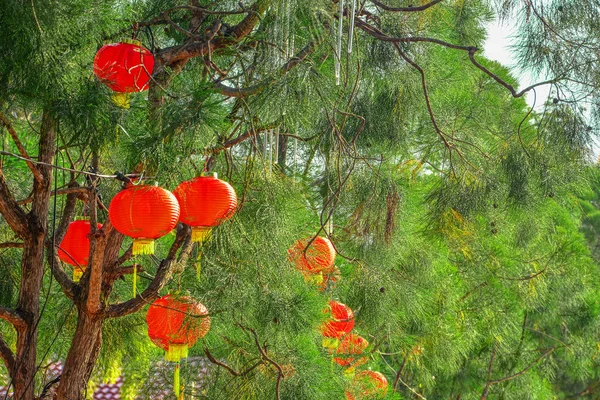 Червона Китайська Лампа Дереві Новому Році — стокове фото