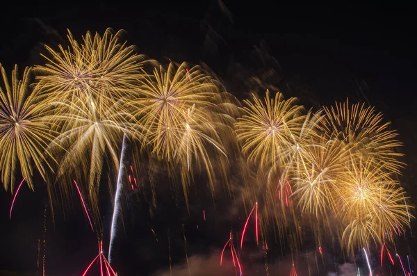 Fogos Artifício Coloridos Fogos Artifício São Uma Classe Dispositivos Pirotécnicos — Fotografia de Stock