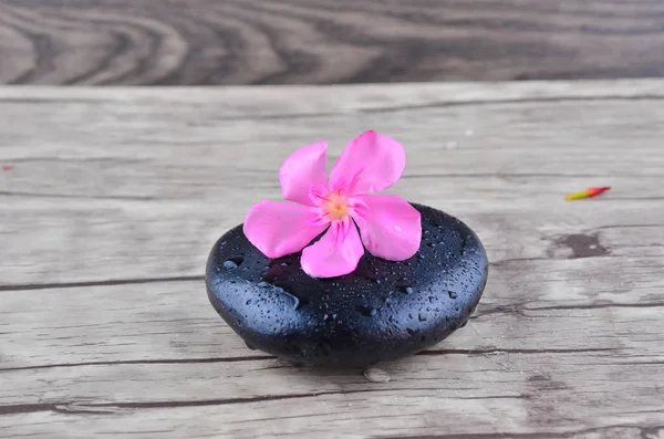 Flower Zen Stone Wood Background — Stock Photo, Image