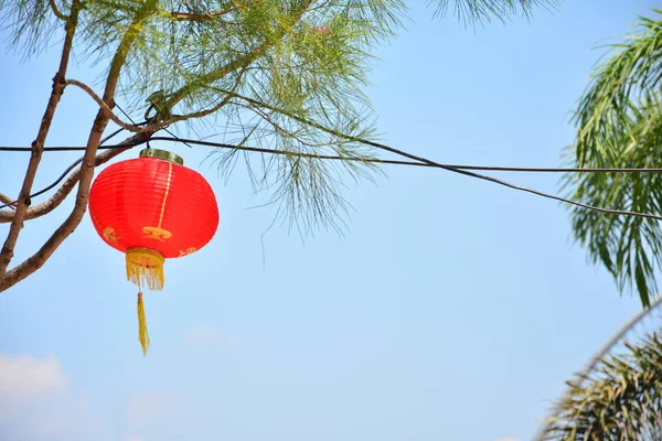 Red Chinese Lamp Tree New Year — Stock Photo, Image