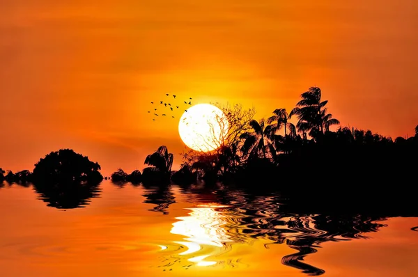 Dramatischer Sonnenuntergang Mit Baumsilhouette Über Wasserspiegelung — Stockfoto
