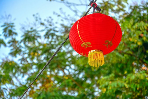 Červená Čínská Lampa Stromě Novém Roce — Stock fotografie