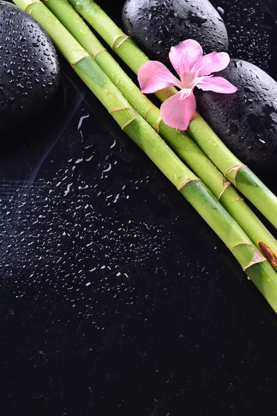 黒い石と濡れた黒い背景に竹林とピンクの花 スパのコンセプト — ストック写真