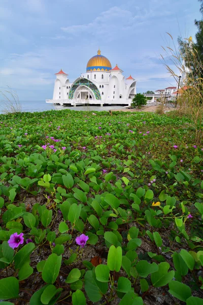 Vista Manhã Mesquita Estreito Malaca Masjid Selat Melaka Uma Mesquita — Fotografia de Stock