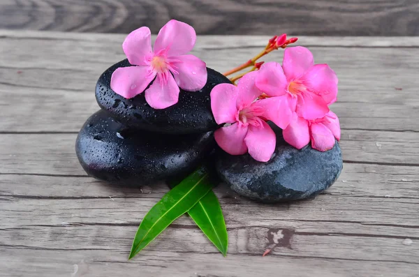 Flower Zen Stone Wood Background — Stock Photo, Image