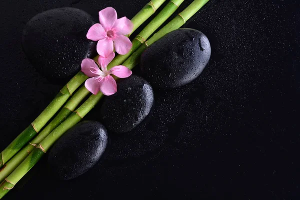 Roze Bloem Met Zwarte Stenen Bamboebos Natte Zwarte Achtergrond Spa — Stockfoto