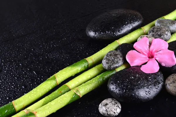 Flor Rosa Con Piedras Negras Arboleda Bambú Sobre Fondo Negro —  Fotos de Stock