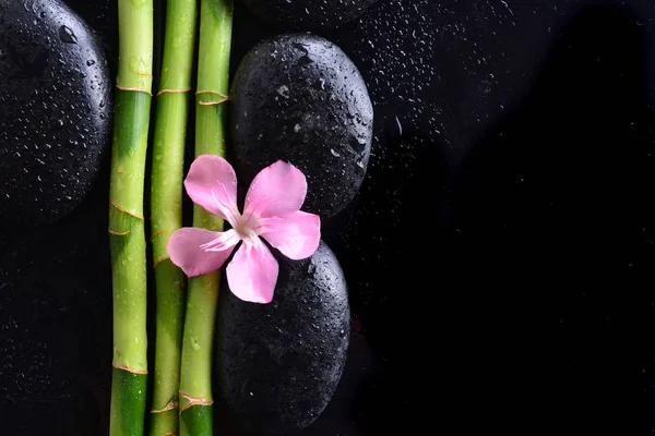 Roze Bloem Met Zwarte Stenen Bamboebos Natte Zwarte Achtergrond Spa — Stockfoto