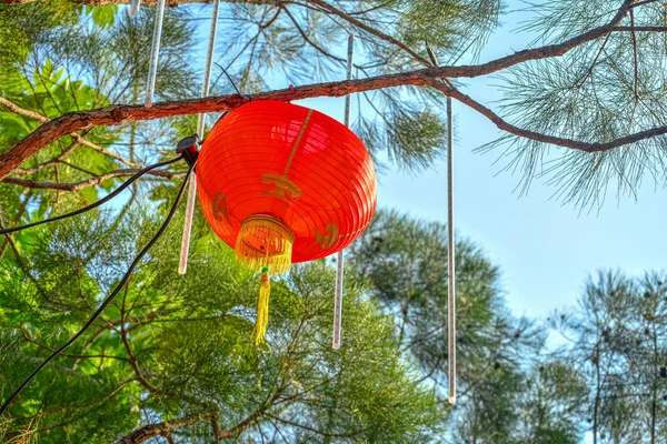 Lampe Chinoise Rouge Sur Arbre Dans Nouvelle Année — Photo