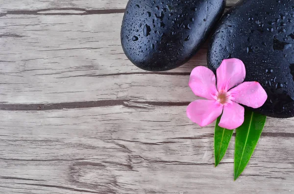 Flower with zen stone on wood background