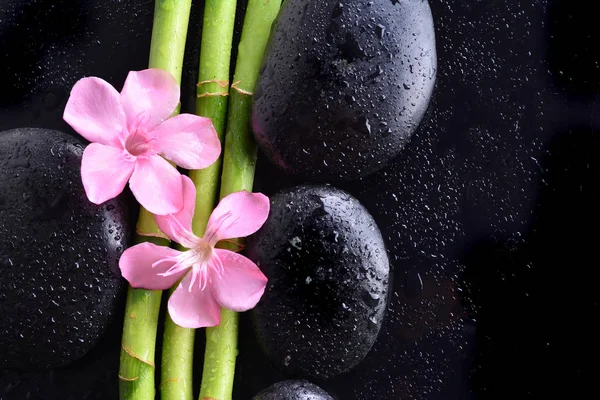 Roze Bloem Met Zwarte Stenen Bamboebos Natte Zwarte Achtergrond Spa — Stockfoto