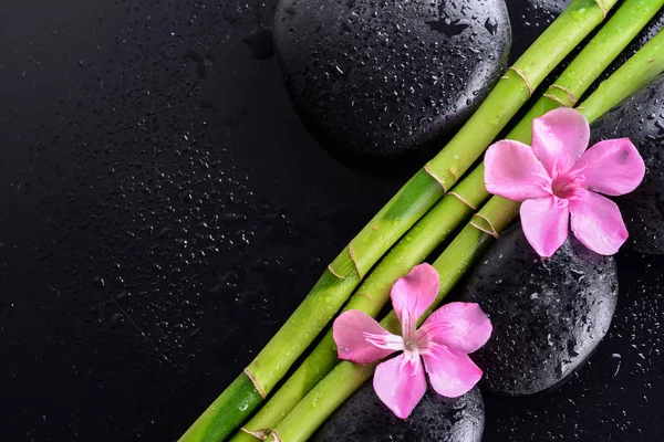 Pink Flower Black Stones Bamboo Grove Wet Black Background Spa Royalty Free Stock Images