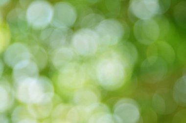 Doğal yeşil arkaplan bulanık