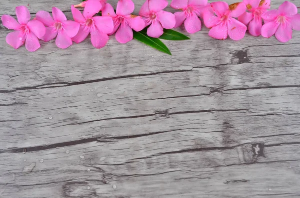 Pink flowers border on wood pattern — Stock Photo, Image