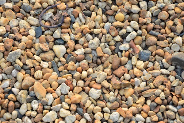 Colorful Small Pebbles Stone Garden — Stock Photo, Image