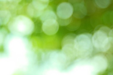 Doğal yeşil arkaplan bulanık