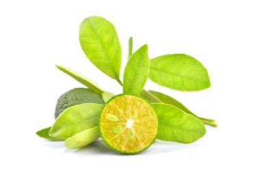 Beyaz arka planda calamansi