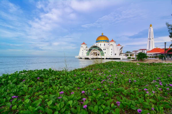 Poranny Widok Malacca Straits Meczet Masjid Selat Melaka Jest Meczet — Zdjęcie stockowe