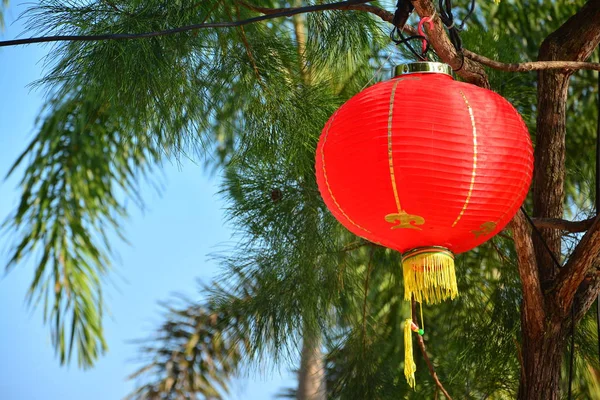 Lampe Chinoise Rouge Sur Arbre Dans Nouvelle Année — Photo