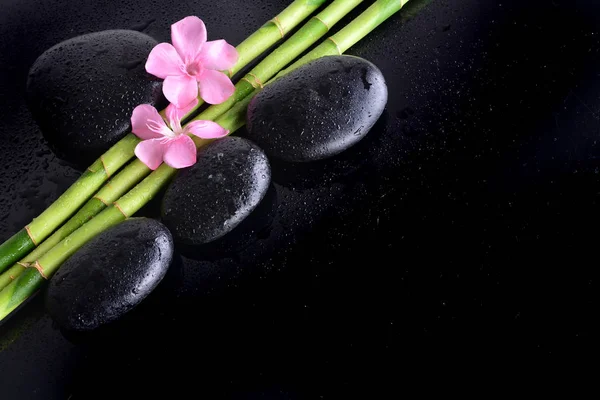 Pink Flower Black Stones Bamboo Grove Wet Black Background Spa — Stock Photo, Image