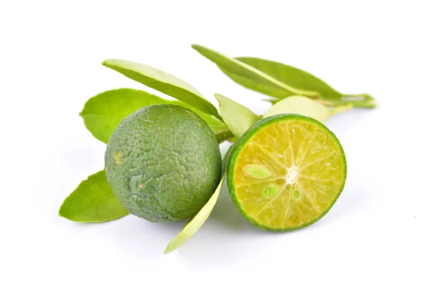 Beyaz arka planda calamansi