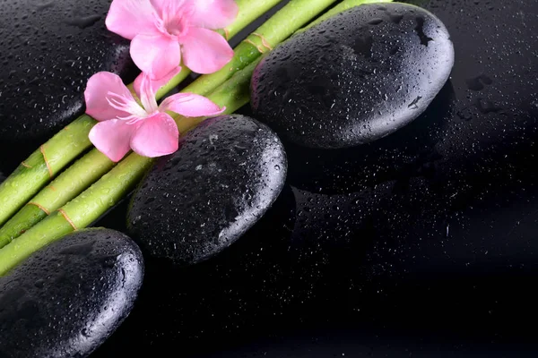 Pink Flower Black Stones Bamboo Grove Wet Black Background Spa — Stock Photo, Image