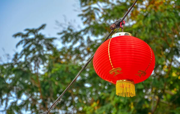 Rode Chinese Lamp Boom Nieuwjaar — Stockfoto