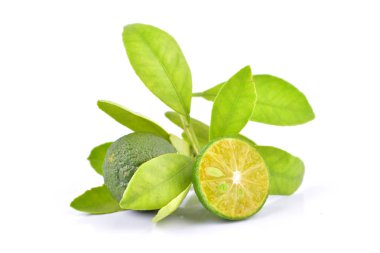 beyaz arka plan üzerinde yaprakları ile kireç