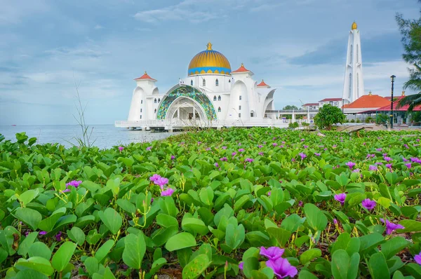 Vue Matin Mosquée Détroit Malacca Masjid Selat Melaka Est Une — Photo